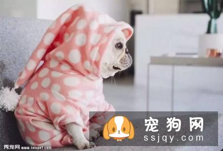 狗狗吃了驱虫药一般会有哪些反应……