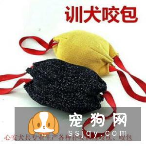 宠物狗总是磨牙怎么办呢？
