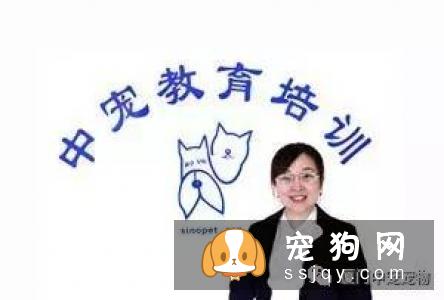 【宠物美容培训学校】厦门中宠师资力量