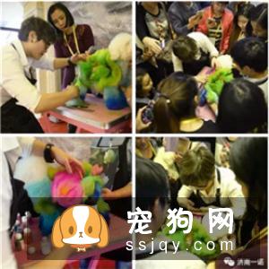宠物美容教父林裕雄导师山东讲习会