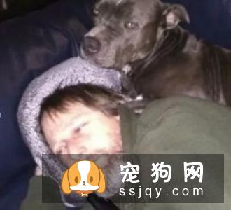狗狗肢端肥大症的主要症状和治疗方法
