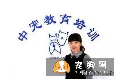 【宠物美容培训学校】厦门中宠师资力量