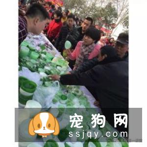 哈士奇不值钱3大谎言