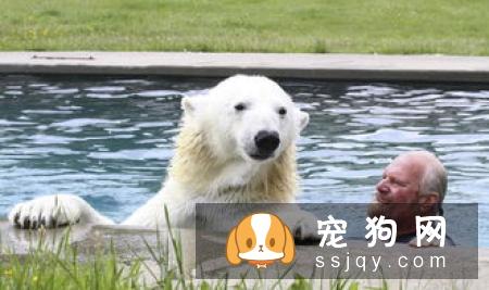 揭秘家庭喂养宠物犬的方法