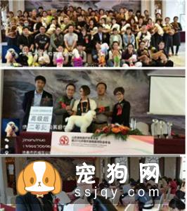 宠物美容教父林裕雄导师山东讲习会