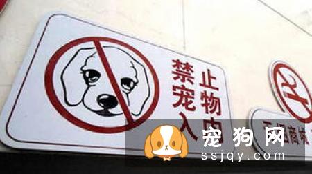 嫌麻烦！这就是我养大型犬的原因！