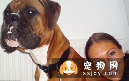 母狗为什么吃自己刚出生的小狗_母狗吐出来死去的小狗