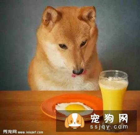 狗狗吃蛋清好，还是蛋黄好？