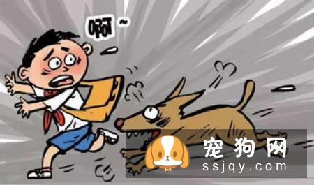 被猫狗抓咬伤 伤口处理不马虎