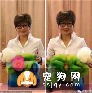 宠物美容教父林裕雄导师山东讲习会