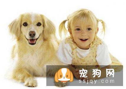 怎样喂养让宠物更健康！