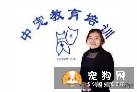 【宠物美容培训学校】厦门中宠师资力量