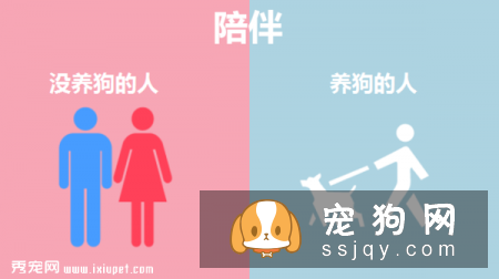 九张图告诉你养狗和不养狗的区别