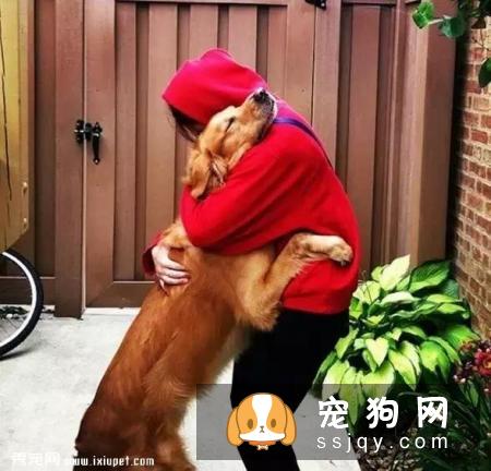 嫌麻烦！这就是我养大型犬的原因！