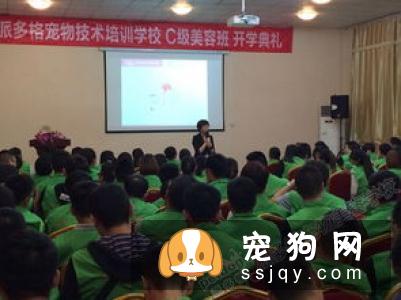 【宠物美容培训学校】厦门中宠师资力量