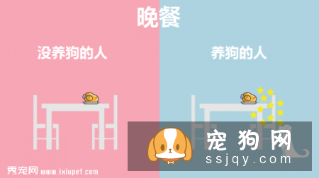 九张图告诉你养狗和不养狗的区别