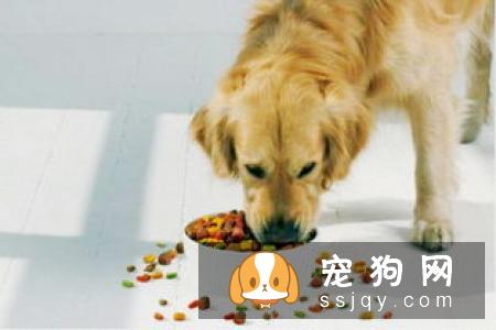 惨遭美容师毒手的11只宠物，又要被怨恨好几个月了！