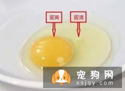 狗狗吃蛋清好，还是蛋黄好？