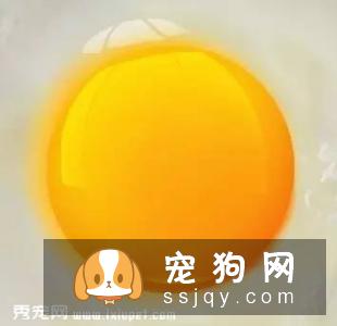 狗狗吃蛋清好，还是蛋黄好？
