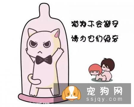 爱宠绝育手术后，如何控制体重？