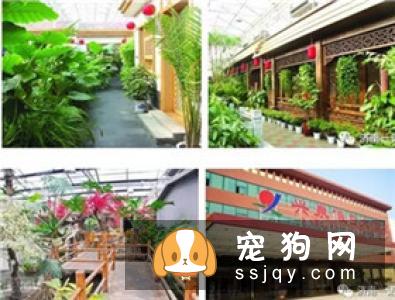 宠物美容教父林裕雄导师山东讲习会