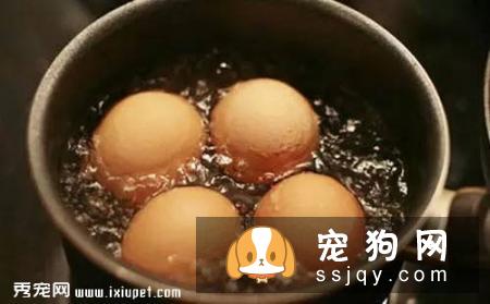 狗狗吃蛋清好，还是蛋黄好？