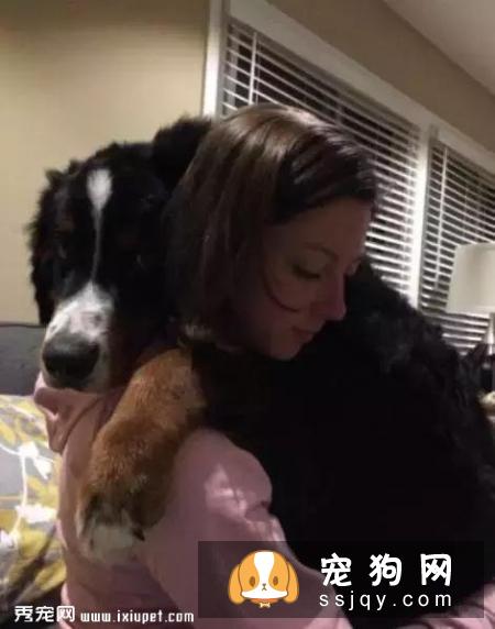 嫌麻烦！这就是我养大型犬的原因！
