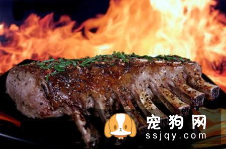 狗狗怎么吃都不厌的美味:炖小羊肉