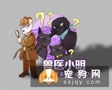 狗狗吃蛋清好，还是蛋黄好？