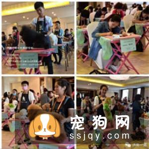 宠物美容教父林裕雄导师山东讲习会