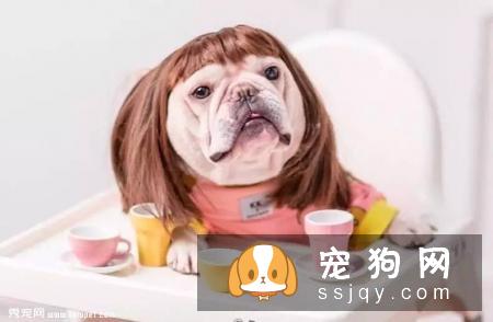 狗狗吃了驱虫药一般会有哪些反应……