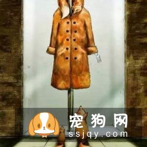 你知道沙皮狗的起源吗？