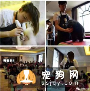宠物美容教父林裕雄导师山东讲习会