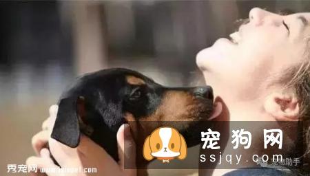 养只味道很大的宠物是种怎样的体验？