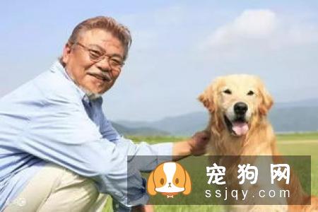 狗狗的寿命到底有多长呢，我们还能够陪伴它们多长时间？
