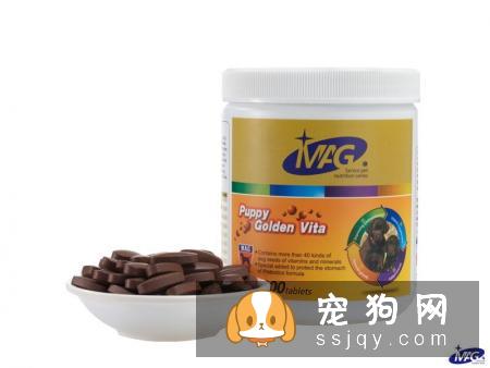 狗狗肠胃不好是否要吃肠胃宝？