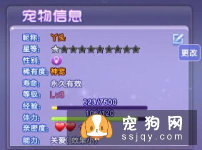 替宠物取名字 命名思维报你知