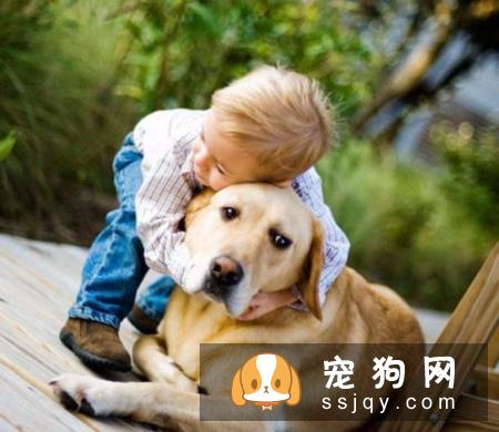 狗狗护食行为的纠正方法