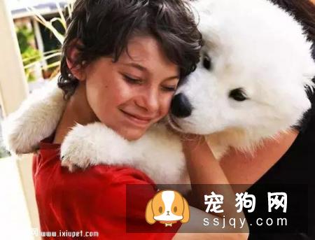 嫌麻烦！这就是我养大型犬的原因！