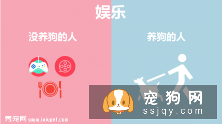 九张图告诉你养狗和不养狗的区别