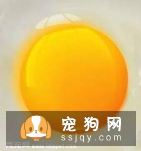 狗狗吃蛋清好，还是蛋黄好？