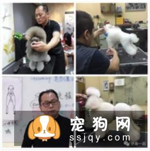 宠物美容教父林裕雄导师山东讲习会
