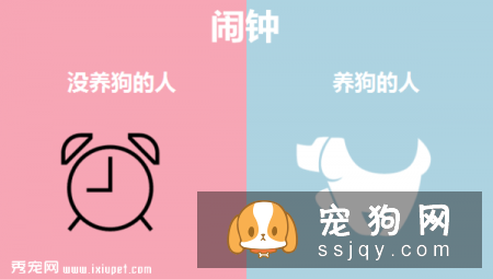 九张图告诉你养狗和不养狗的区别