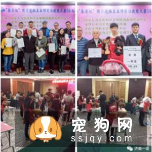 宠物美容教父林裕雄导师山东讲习会