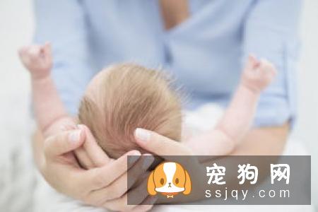 爱宠绝育手术后，如何控制体重？