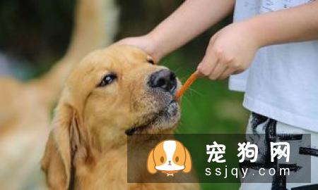 九张图告诉你养狗和不养狗的区别
