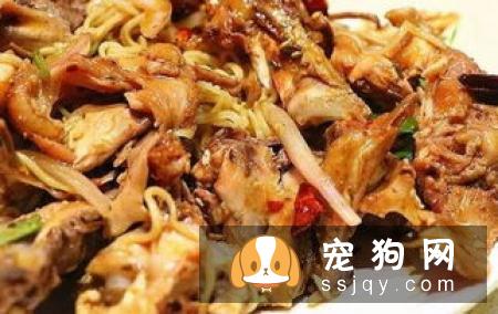怀孕期的狗狗一定要注意这些饮食，否则后果不堪设想！