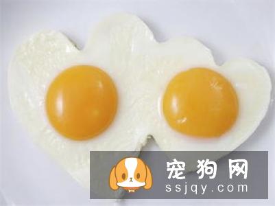 狗狗毛发过早变白，专家：因为它有心魔！