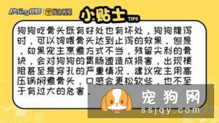 鸡骨头金毛能吃吗 金毛吃了鸡骨头的危害有哪些