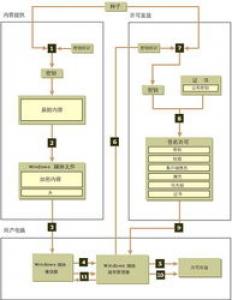 迷你牛头梗的选购方法_迷你牛头梗的外形特征和介绍